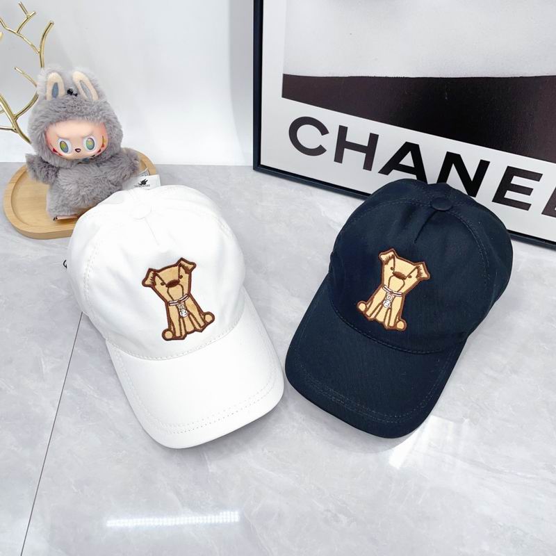 Fendi cap dx37